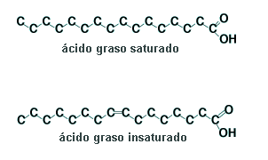 lacidos.gif (4271 bytes)